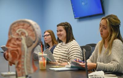 Students listening to a lecture. A model of the human brain is in the foreground.