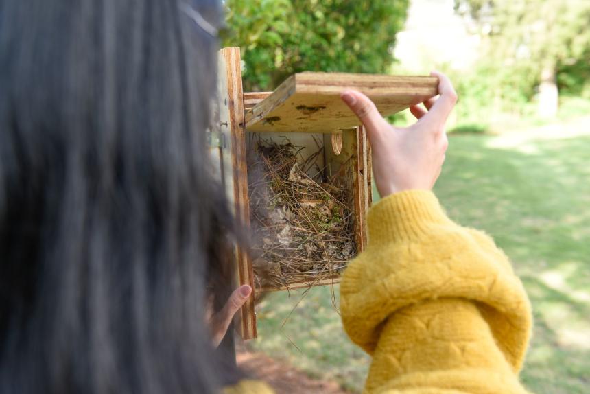 A student checks a bird box on Georgia College's campus